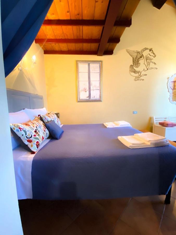 Ca' Tomassino Holiday Apartments Ουρμπίνο Εξωτερικό φωτογραφία